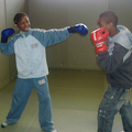 boxe anglaise.jpg
